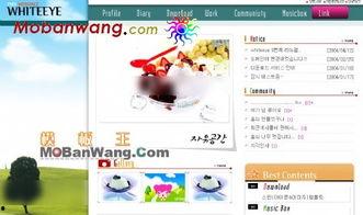 娱乐吃瓜模板下载百度云